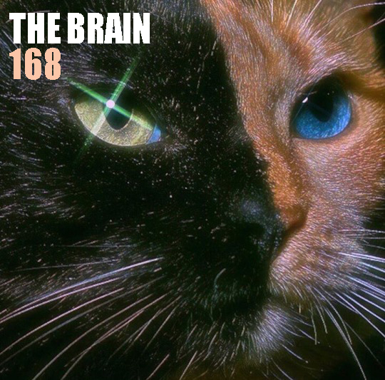 http://www.thebrainradio.com/pochettes/thebrain168.jpg